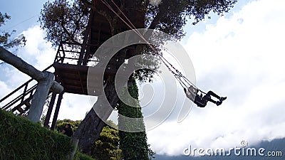 Silhouette of a tourist on a swing at Casa del Arbol Editorial Stock Photo