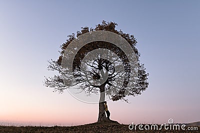 Silhouette of tourist under majestic tree Stock Photo