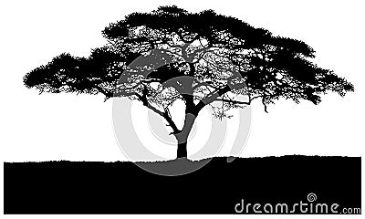 Silhouette of the tree African savannah Stock Photo