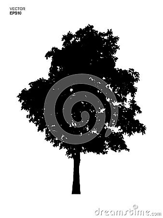 Silhouette tree isolated on white background. Park and outdoor object idea use for landscape design, architectural decorative. Vector Illustration