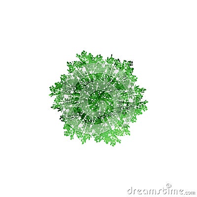 Silhouette of a tree with leaves repeats in a circle splash green watercolor. Vector Illustration