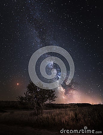 Silhouette of Tree with natural landscape and Milky Way galaxy. Stock Photo