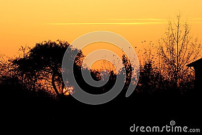 Silhouette of a tree and part of a house in the village. Orange red dawn. Stock Photo
