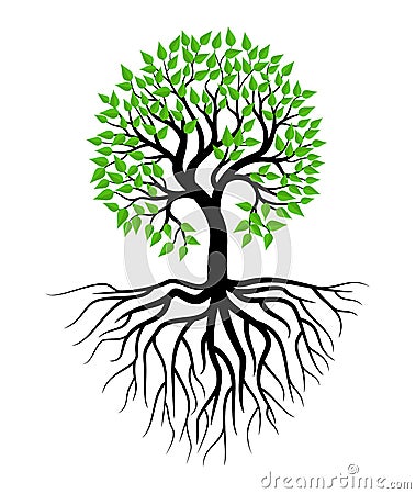 Tree and root Illustration Vector Cartoon Illustration