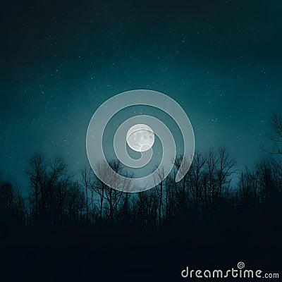 Silhouette of trees against moonlit night sky background Stock Photo