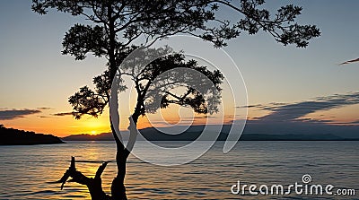 Silhouette of trees at sunset on the sea background, panorama view, peaceful landscape, Scenic view of sea against sky at sunset Stock Photo