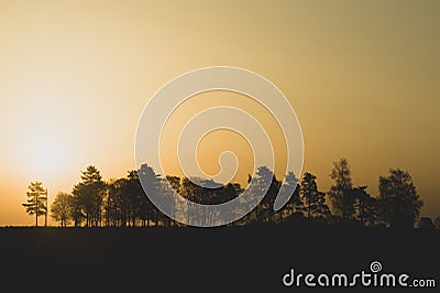 Silhouette of the trees at sunset. sun setting behind the forest Stock Photo