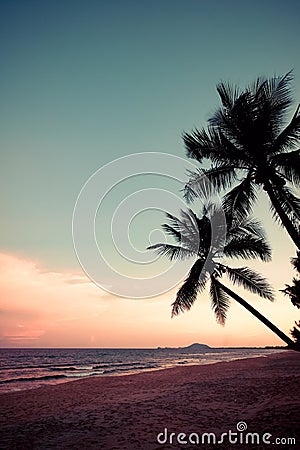 Silhouette of tropical beach during sunset twilight. Stock Photo