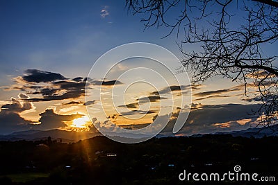 Silhouette branches and sky at sunset background. Stock Photo