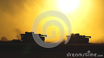 Silhouette of two combines moves across the field and mows ripe wheat, rye dust rises above field in sun. large Stock Photo