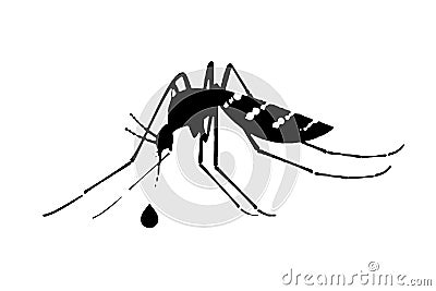 silhouette vector image image mosquito Aedes aegypti, dengue, chikungunya, zika virus proliferation epidemic health Stock Photo