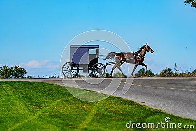 Silhouette view of an Amish Buggy Editorial Stock Photo