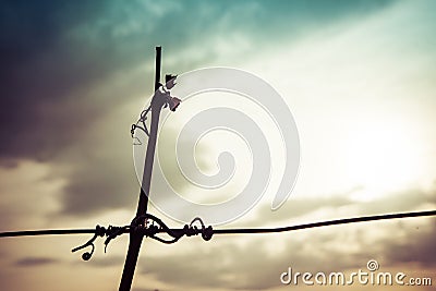 Silhouette of vine crook on wire in the sunset with cloudy sky Stock Photo