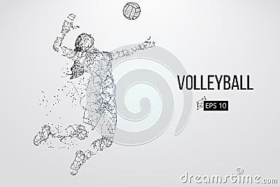 Silhouette of volleyball player. Vector illustration. Vector Illustration