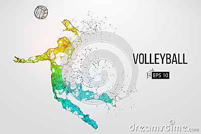 Silhouette of volleyball player. Vector illustration. Vector Illustration