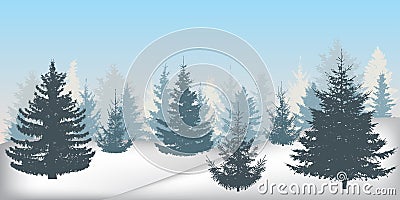 Silhouette of winter snowy forest, beautiful spruce trees Vector Illustration