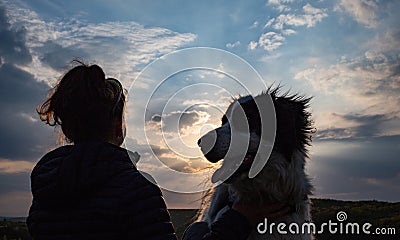 silhouette of woman and dog head at sunset pet teraphy Stock Photo