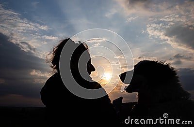 silhouette of woman and dog head at sunset pet teraphy Stock Photo