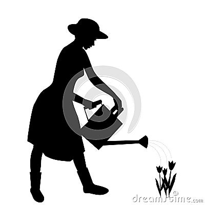 Silhouette of woman gardener watering flowers with water can Vector Illustration