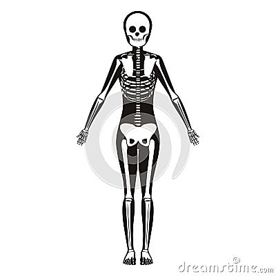 Silhouette woman system bone with bone Vector Illustration
