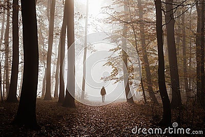 Silhouette of woman walks on footpath in dark foggy mystery forest alone Stock Photo