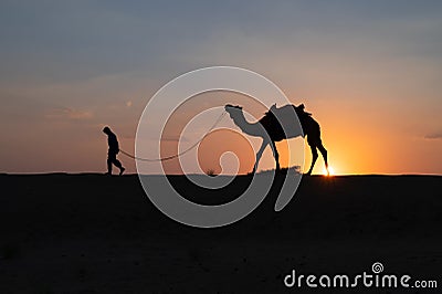 Silhouette, young cameleer leading a camel into sand dunes. Setting sun with blue sky in the background Editorial Stock Photo