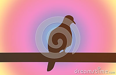 Silhouette of a Zebra Dove perching on the fence against gradient pastel color backdrop Stock Photo