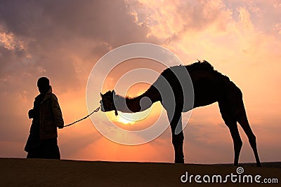 Silhouetted bedouin walking with his camel at sunset, Thar desert near Jaisalmer, India Editorial Stock Photo