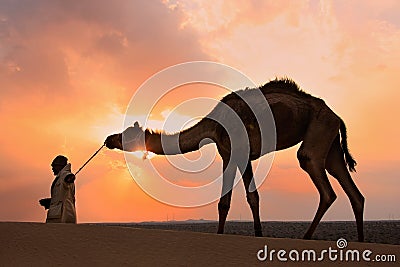 Silhouetted bedouin walking with his camel at sunset, Thar desert near Jaisalmer, India Editorial Stock Photo