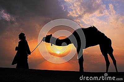 Silhouetted bedouin walking with his camel at sunset, Thar desert near Jaisalmer, India Editorial Stock Photo