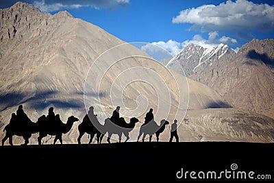 Silhouetted camel Stock Photo