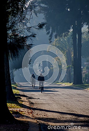 Silhouetted cyclist and a pedestrian isolated in a treelined street Editorial Stock Photo