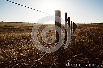 Silhouetted fence line and grass blowing in the wind Stock Photo