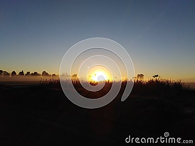Silhouetted grass and trees against the sunrise Stock Photo