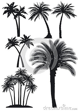 Silhouetted palm trees Vector Illustration