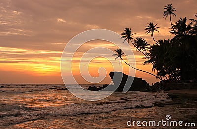 Silhouetted palm trees and rocks at sunset, Unawatuna, Sri Lanka Stock Photo