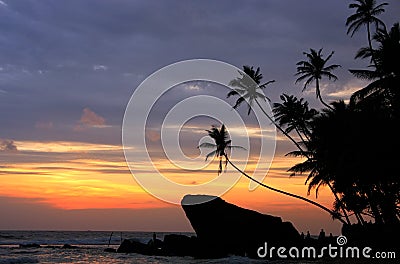 Silhouetted palm trees and rocks at sunset, Unawatuna, Sri Lanka Stock Photo