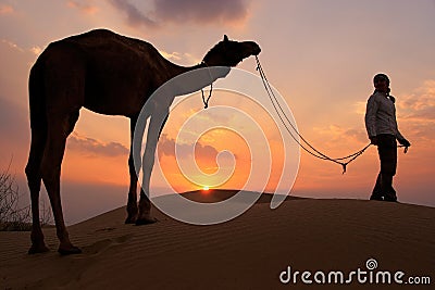 Silhouetted person with a camel at sunset, Thar desert near Jaisalmer, India Stock Photo