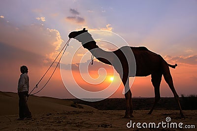 Silhouetted person with a camel at sunset, Thar desert near Jaisalmer, India Stock Photo