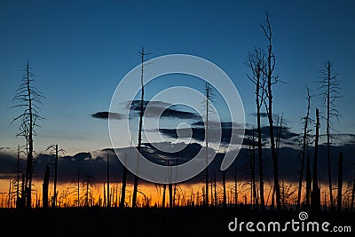 Silhouetted Trees against an Evening Colourful Morning at Sunset Stock Photo