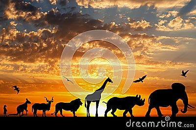 Silhouettes of animals on golden cloudy sunset Stock Photo