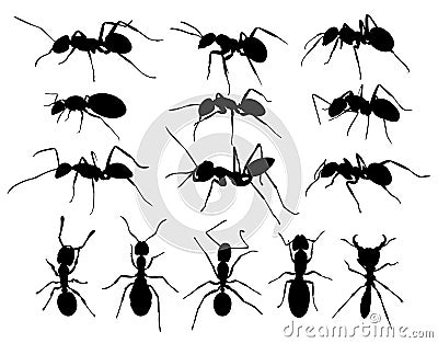 Silhouettes of ants. Vector Illustration