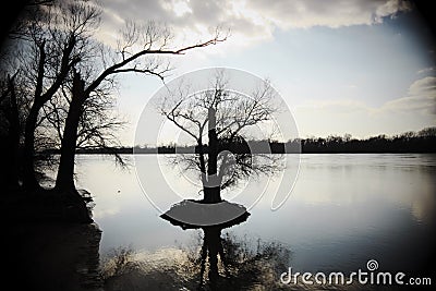 Silhouettes of bare trees in a river - Mystic mood photo made wi Stock Photo