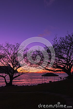 Silhouettes on the beach Stock Photo