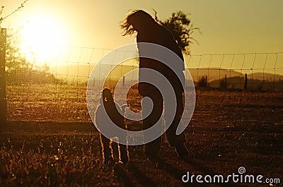 Silhouettes best friends woman dog walking golden glow sunset country Stock Photo