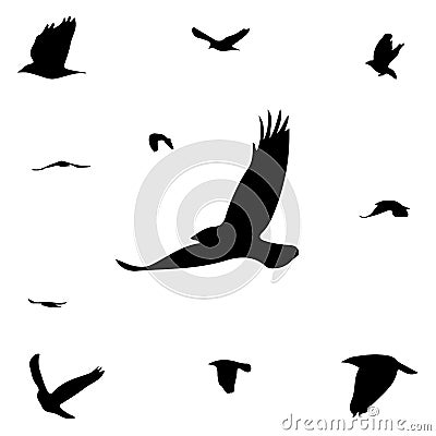 Silhouettes of birds Stock Photo