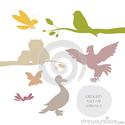 Silhouettes of birds and flying insects isolated on white background Stock Photo