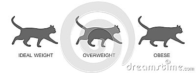 Silhouettes of cats with ideal weight, overweight and obese. Kitten profileswith normal and fat body condition. Process Vector Illustration