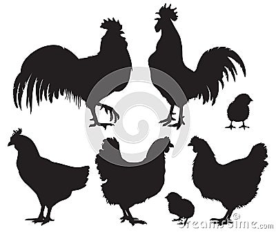 Silhouettes of chickens - hens, roosters and baby chicks. Stock Photo