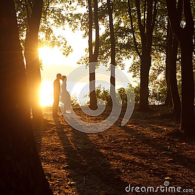 Silhouettes - couple kisses in the light of summer sun Stock Photo